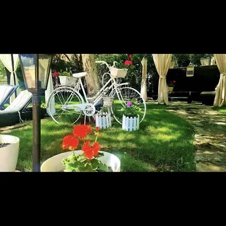 Appartement Complex Anita